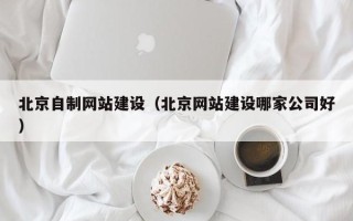 曲靖北京自制网站建设（北京网站建设哪家公司好）